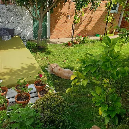 Mienguco Сasa de vacaciones