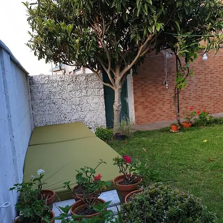 Mienguco Miengo